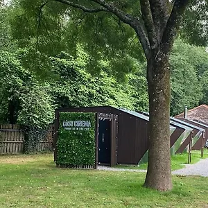 Campsite Cosy Cinema, Cardiff